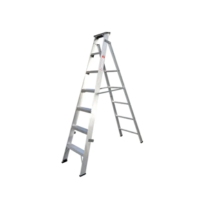 Two Way Ladder