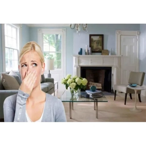 Cleaning Service