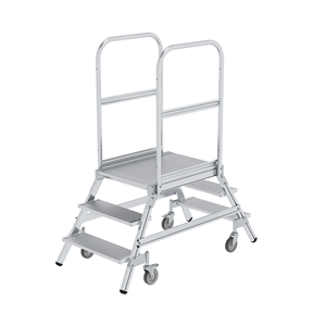 Platform Ladder