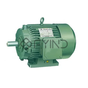 Electric Motor