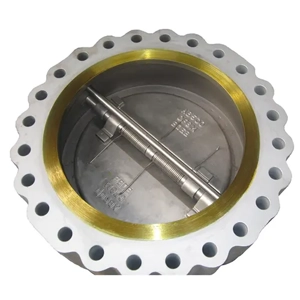 Check Valve