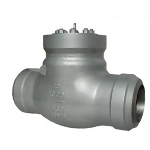 Check Valve