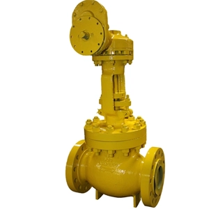 Globe Valve