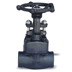Globe Valve