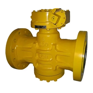 Plug Valve