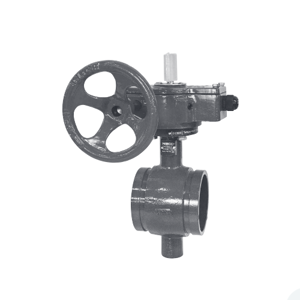 Butterfly Valve