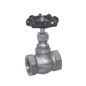 Globe Valve