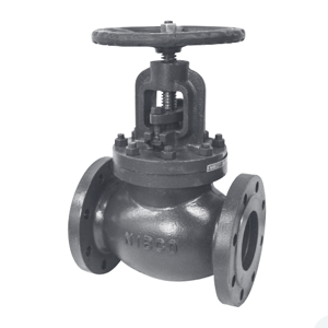 Globe Valve