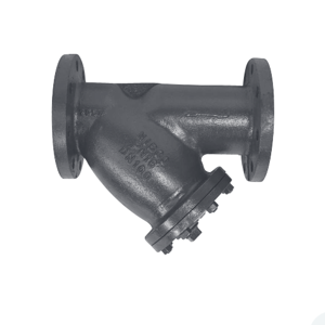 Y Strainer