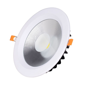 General Purpose Downlight