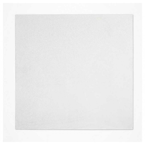 Gypsum Ceiling Tile