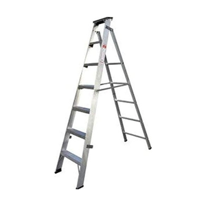 Two Way Ladder