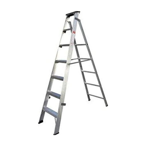 Two Way Ladder