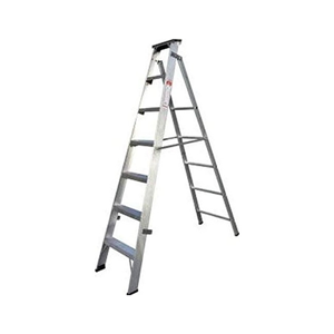 Two Way Ladder