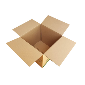 Carton Box