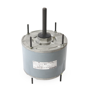 Electric Motor