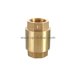 Check Valve