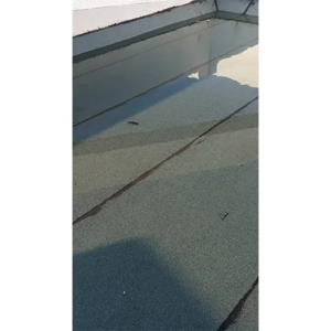 Waterproofing Service
