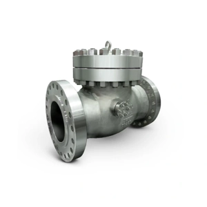 Check Valve