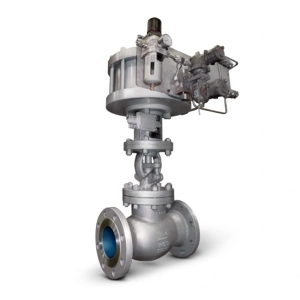 Globe Valve