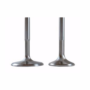 Exhaust Valve