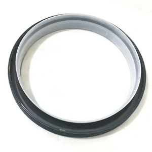 Oil Seal