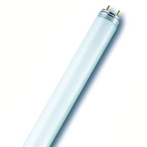 CFL Tube
