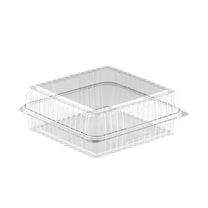 Disposable Plastic Box