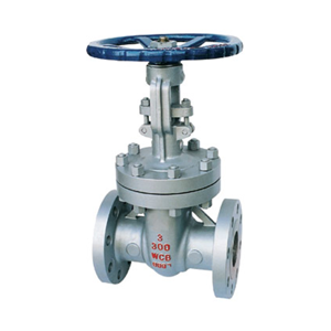 Globe Valve