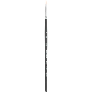 Artist Paint Brush