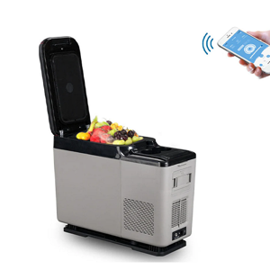 Portable Refrigerator