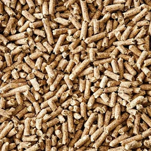 Wood Pellet