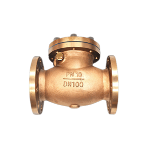 Check Valve