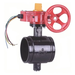 Control Valve