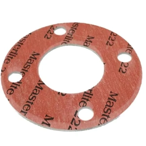 Flange Gasket
