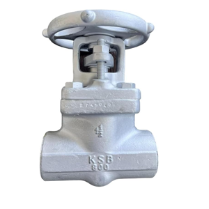 Globe Valve