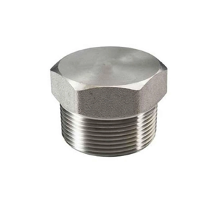 Pipe Plug