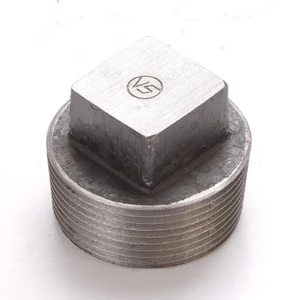 Pipe Plug
