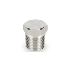 Pipe Plug