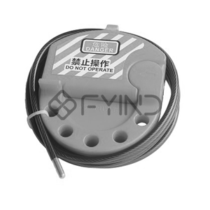Lockout Device