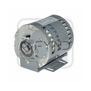 Electric Motor