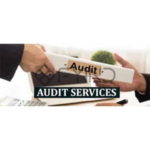 Financial Auditing Service