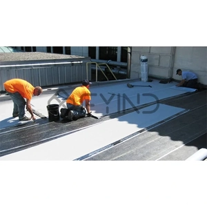 Waterproofing Service