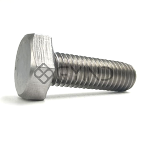 Hexagonal Head Screw