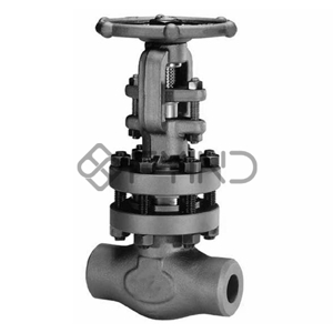 Gate Valve