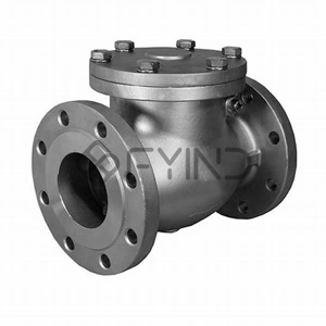 Swing Check Valve