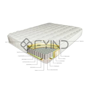 Domestic Mattress