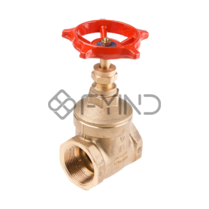 Gate Valve
