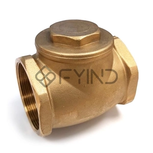 Check Valve