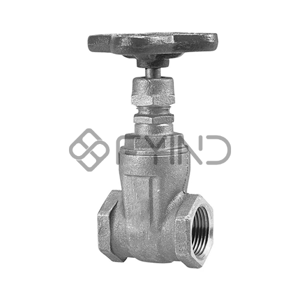 Globe Valve